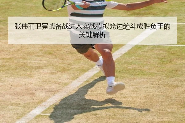 张伟丽卫冕战备战进入实战模拟笼边缠斗成胜负手的关键解析